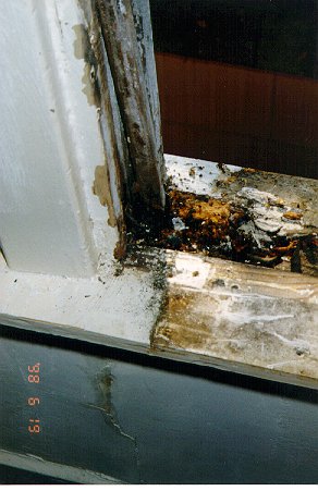 Wood rot underneath the old A/C unit